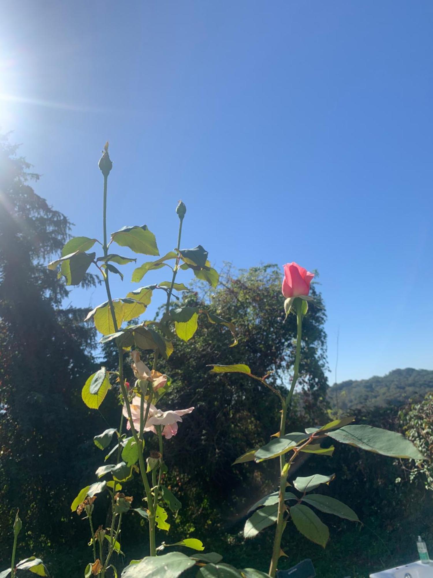 La Poesie Bed and Breakfast Lagor Buitenkant foto