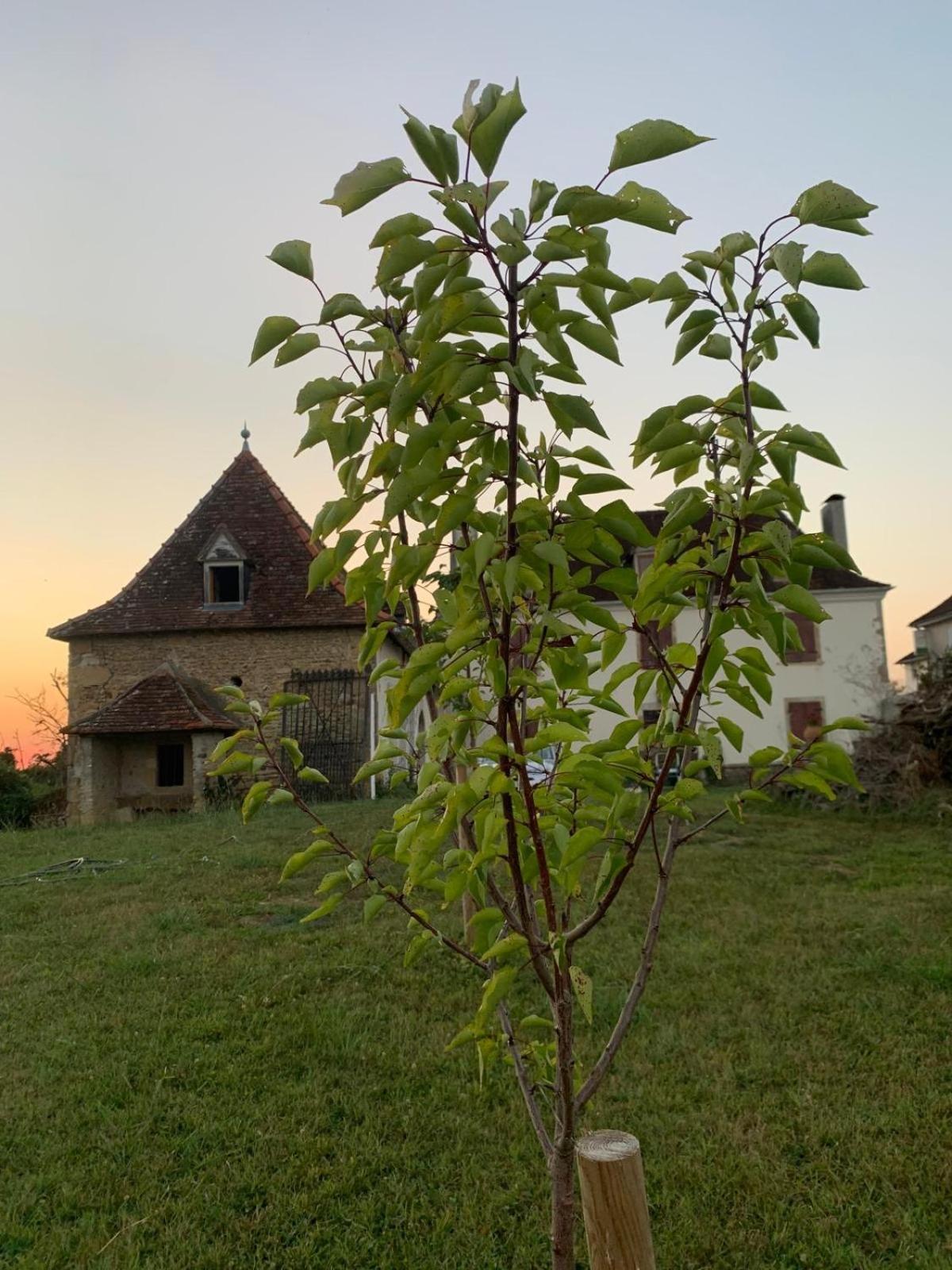 La Poesie Bed and Breakfast Lagor Buitenkant foto